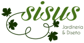 Sisus